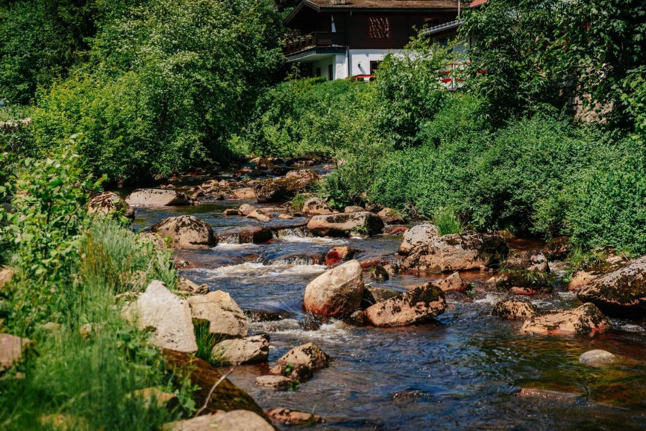 Hotel Villa Bodeblick Schierke Buitenkant foto